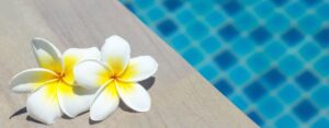 Is a Swim Spa Right For Your Business?